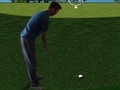 თამაშის Flash Golf 3D