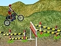 თამაშის Motorcycle Rally