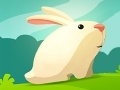 თამაშის Greedy Rabbit