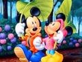 თამაშის Mickey Love-HS