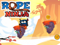 თამაშის Rope Ninja 