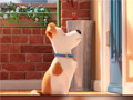თამაშის Hidden Letters in The Secret Life of Pets