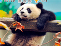 თამაშის Animal Habitats: Find Items