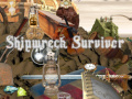 თამაშის Shipwreck Survivor