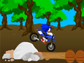 თამაშის Cross Sonic Race 