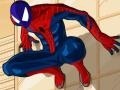 თამაშის Spiderman Costume