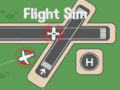 თამაშის Flight Sim