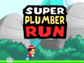 თამაშის Super Plumber Run