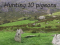 თამაშის Pigeons Hunting
