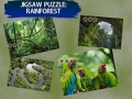 თამაშის Jigsaw Puzzle Rain Forest 