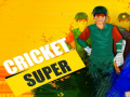 თამაშის Super Cricket      