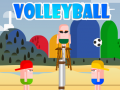 თამაშის VolleyBoll