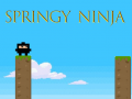 თამაშის Springy Ninja