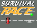 თამაშის Survival Race