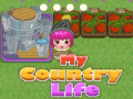 თამაშის My County Life