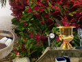 თამაშის The Prize Winning Garden