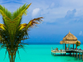 თამაშის Tropical Paradise
