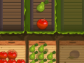 თამაშის Fruit Gardener