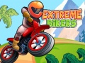 თამაშის Extreme Bikers