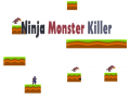თამაშის Ninja Monster Killer