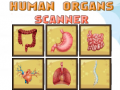 თამაშის Human Organs Scanner