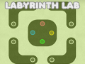 თამაშის Labyrinth Lab