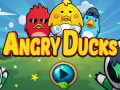 თამაშის Angry Ducks