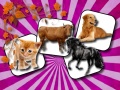 თამაშის Domestic Animal Memory Challenge