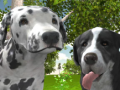 თამაშის Dog Simulator 3d