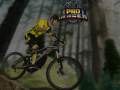 თამაშის MTB Pro Racer