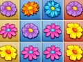 თამაშის Blossom Garden Crush