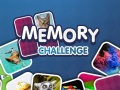 თამაშის Memory Challenge