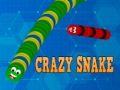 თამაშის Crazy Snake