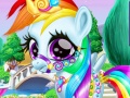 თამაშის Rainbow Pony Caring