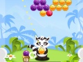 თამაშის Bubble Shooter Raccoon