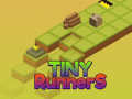 თამაშის Tiny RunnerS