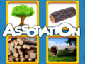 თამაშის Assotiation 