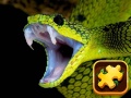 თამაშის Snake Puzzle Challenge