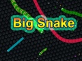 თამაშის Big Snake