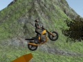 თამაშის Dirt Bike Rider