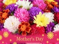 თამაშის 2019 Mother's Day Puzzle
