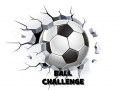 თამაშის Ball Challenge