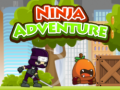 თამაშის Ninja Adventure