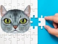 თამაშის Abyssinian Puzzle Challenge