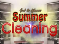 თამაშის Spot The differences Summer Cleaning