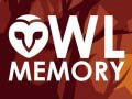 თამაშის Owl Memory
