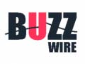 თამაშის Buzz Wire