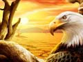 თამაშის Eagle
