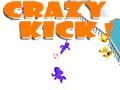 თამაშის Crazy Kick!