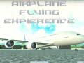 თამაშის Airplane Flying Expierence